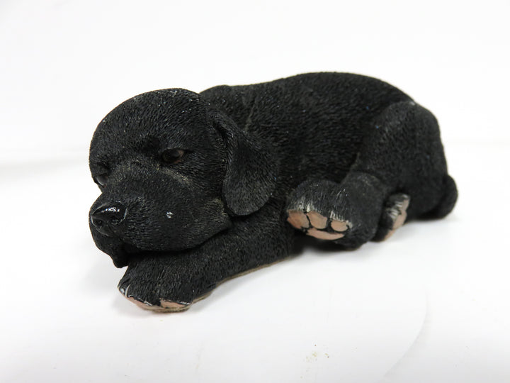 Black Lab Dog and Puppy
