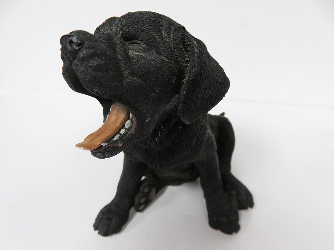 Black Lab Dog and Puppy