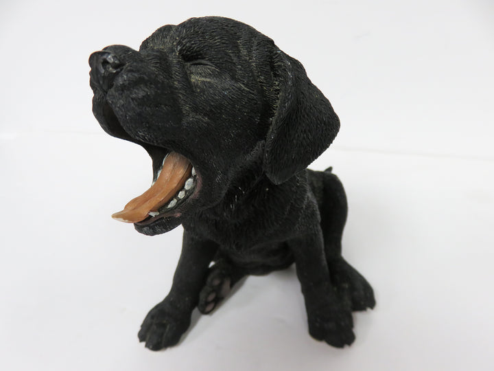 Black Lab Dog and Puppy