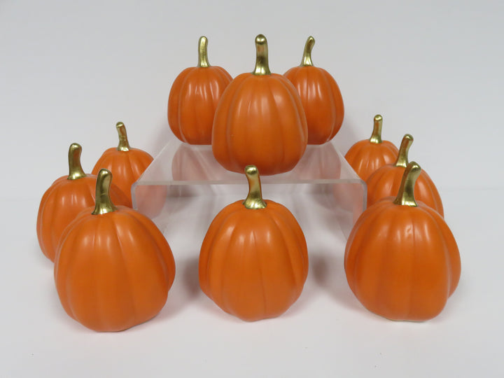 Decorative Mini Pumpkins