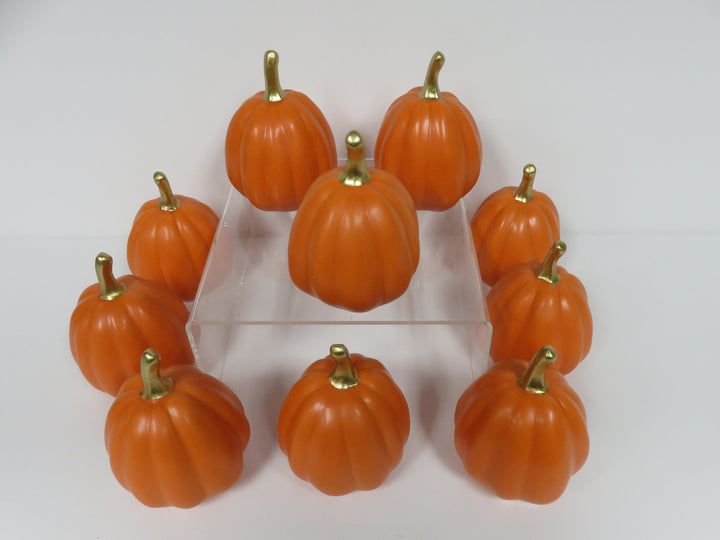 Decorative Mini Pumpkins
