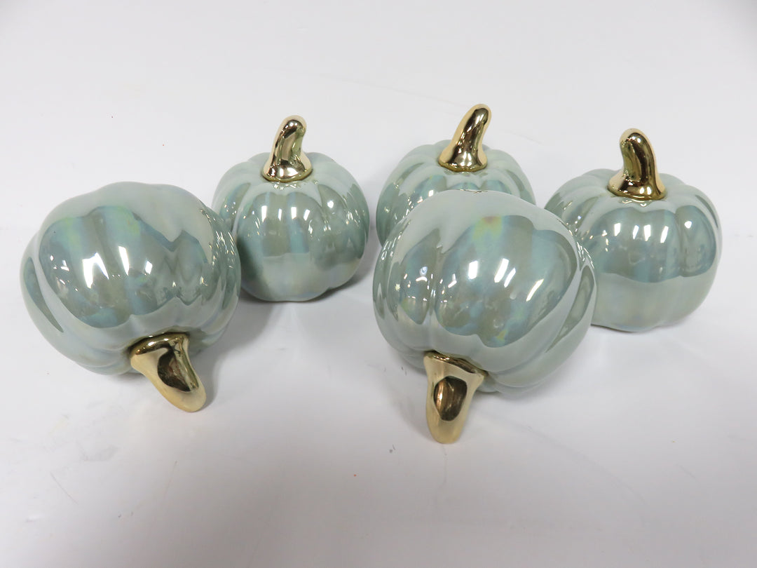 Decorative Mini Pumpkins