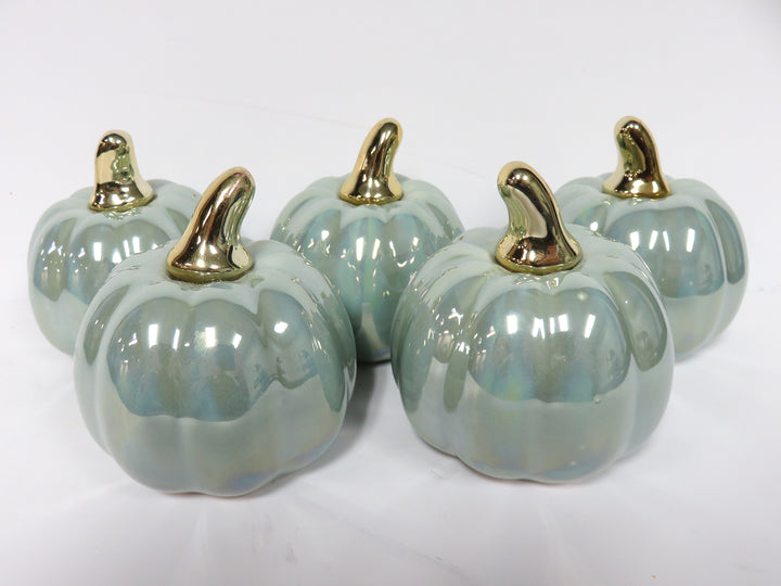 Decorative Mini Pumpkins