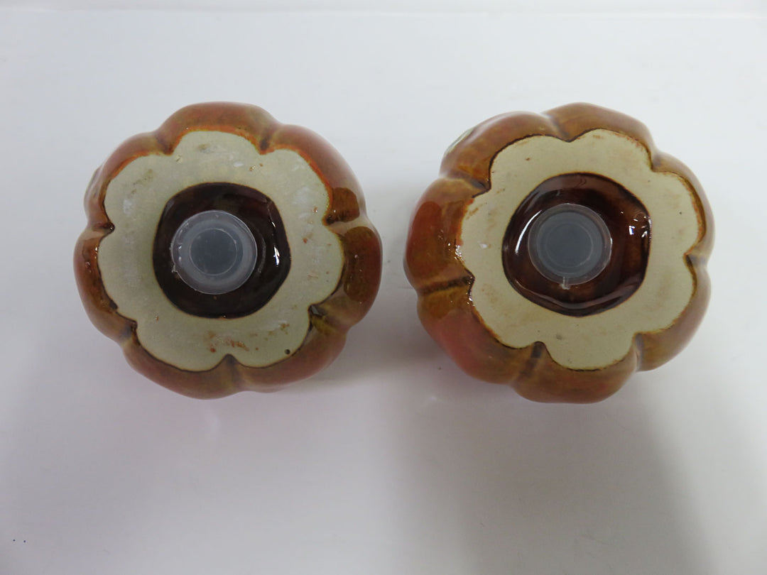 Fall Decor Salt & Pepper Set