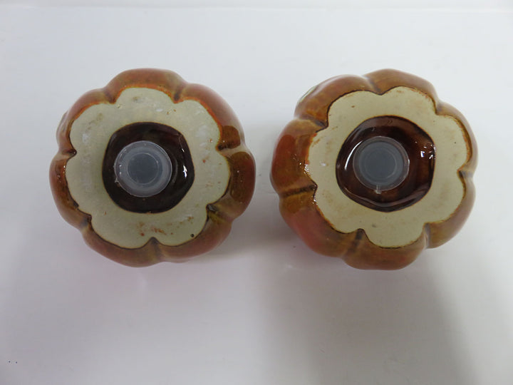 Fall Decor Salt & Pepper Set
