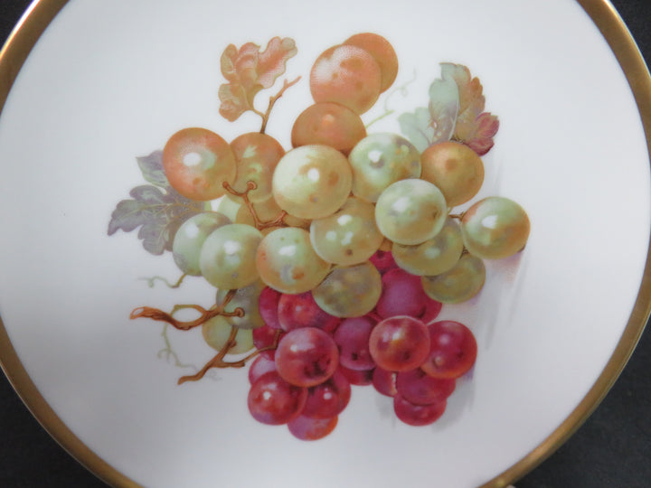 Fruit Motif Dessert/Salad Plates