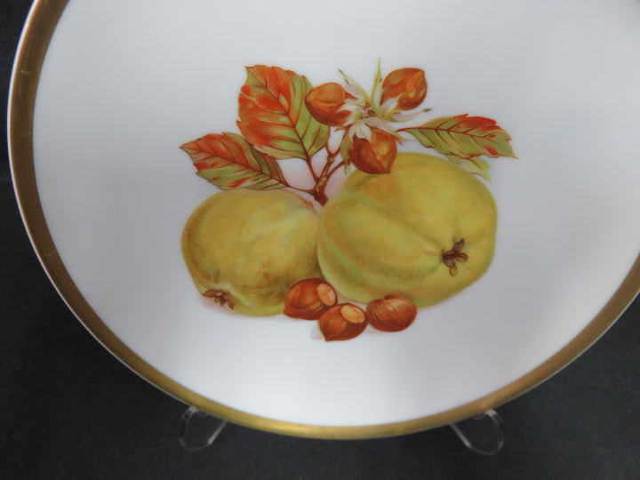 Fruit Motif Dessert/Salad Plates