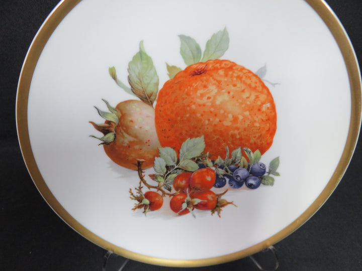 Fruit Motif Dessert/Salad Plates