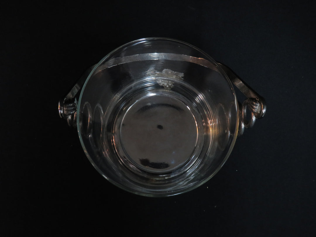 Ice Bucket with Carrier