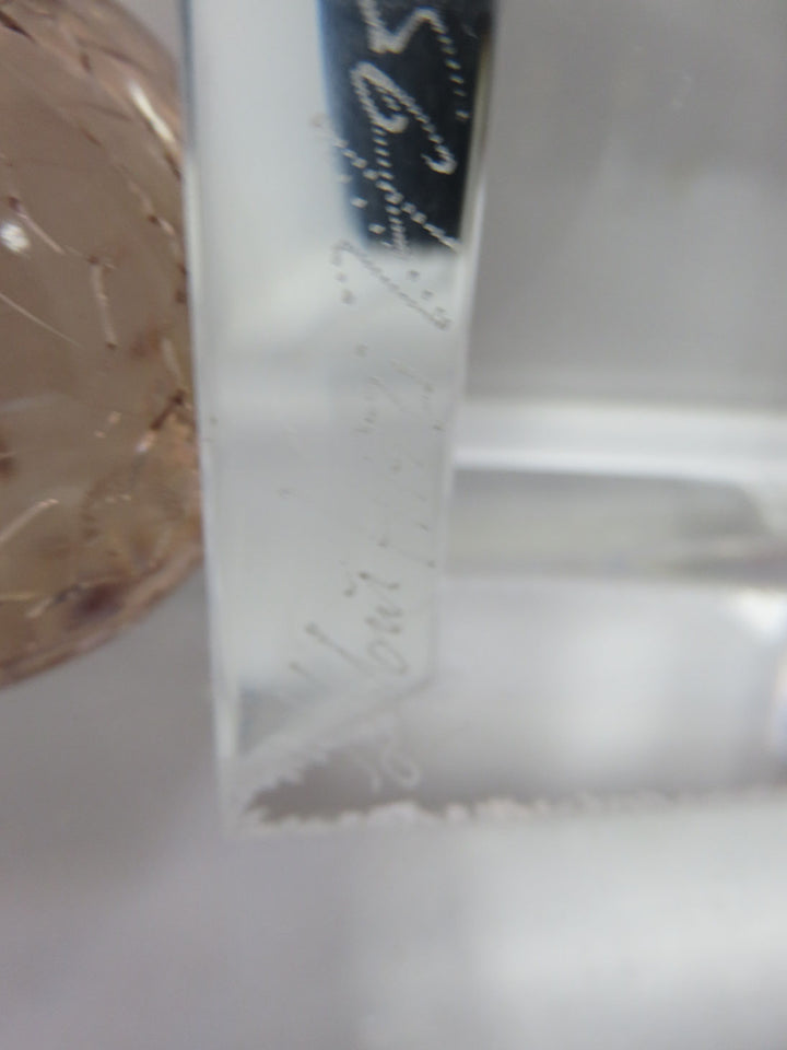 Shlomi Haziza Lucite Sculpture