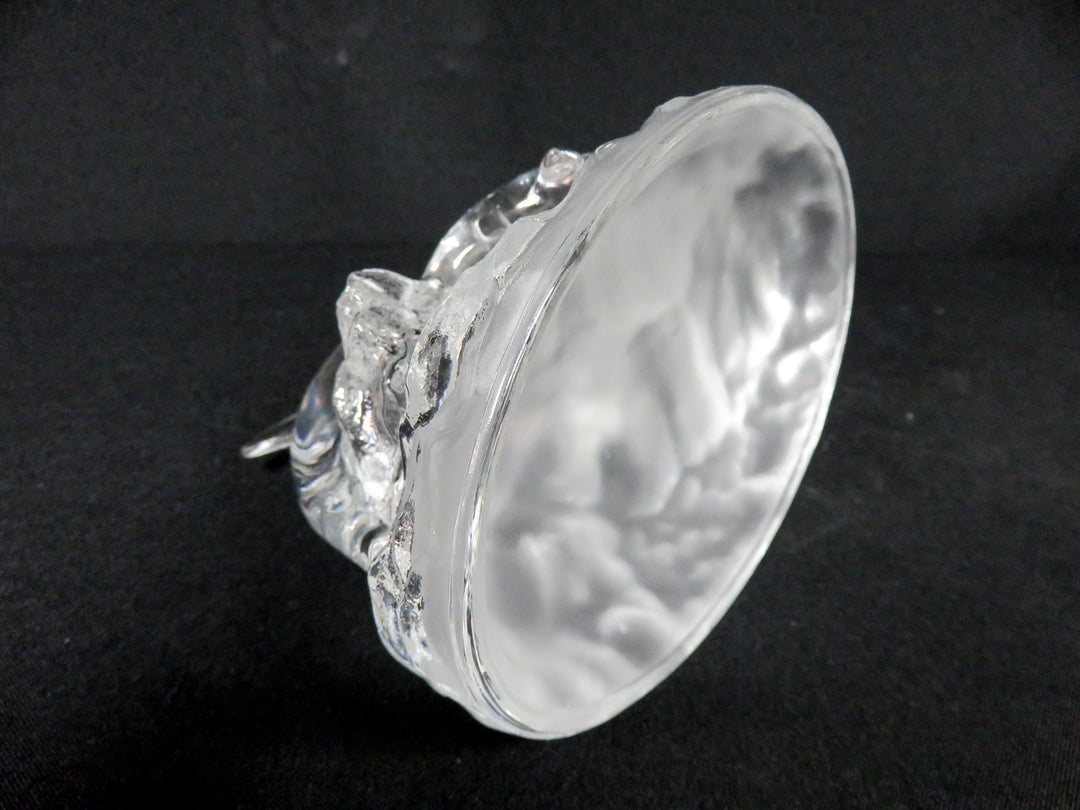 Cristal D'Arques Dolphins