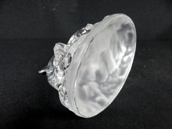 Cristal D'Arques Dolphins