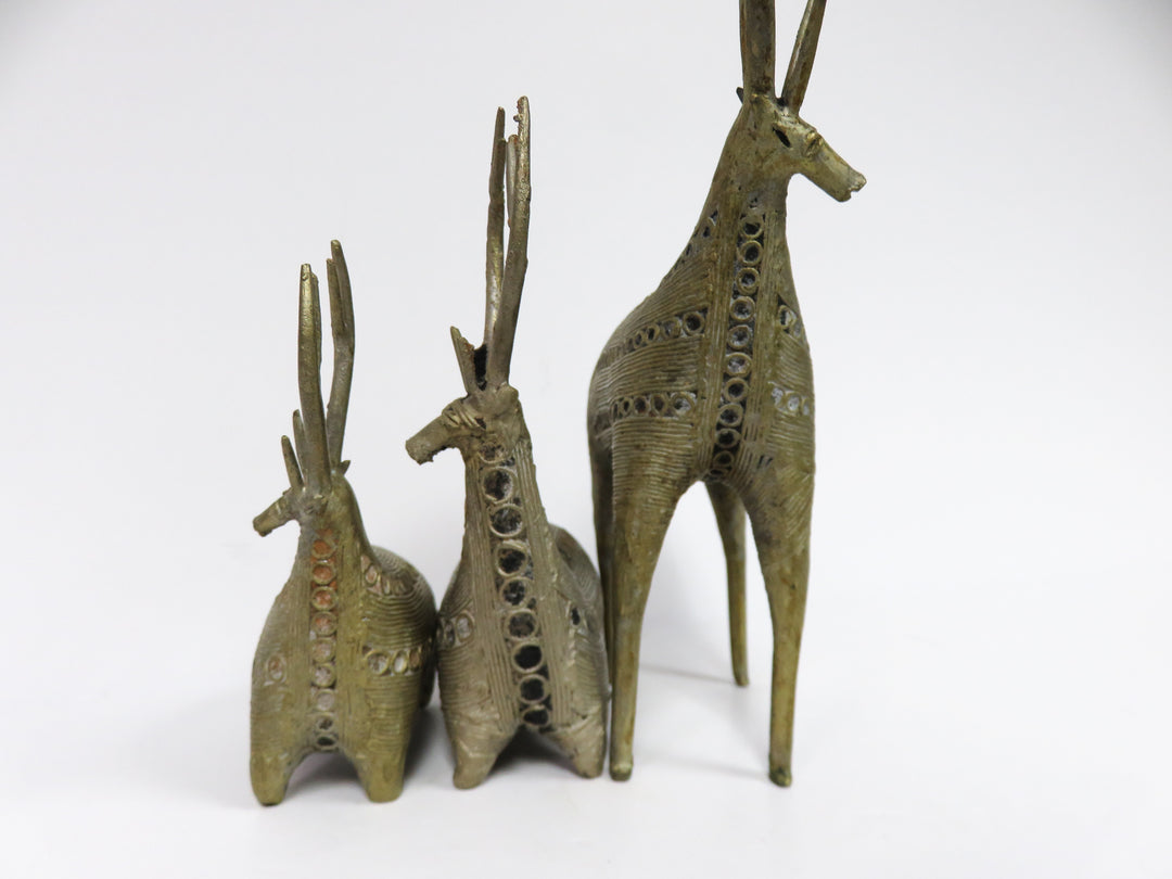 Dhokra Deers