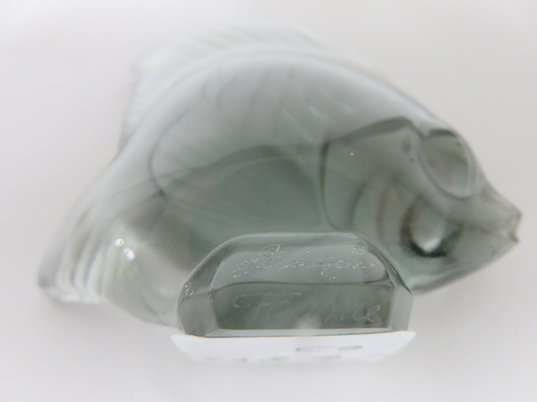Lalique Grey Fish Figurine