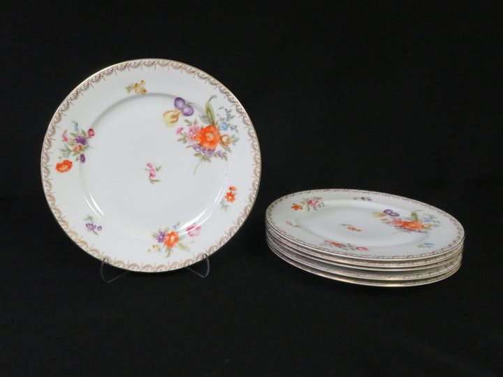 Rosenthal Plates