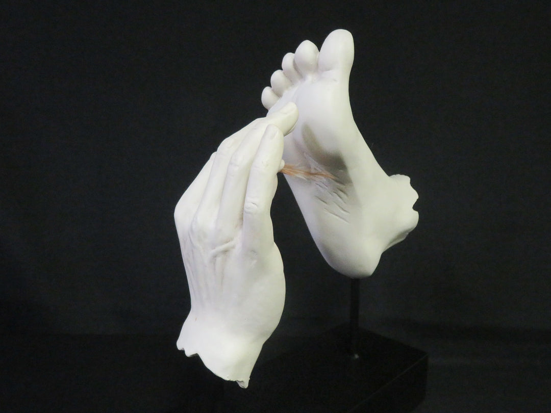 Foot And Hand Sculpture