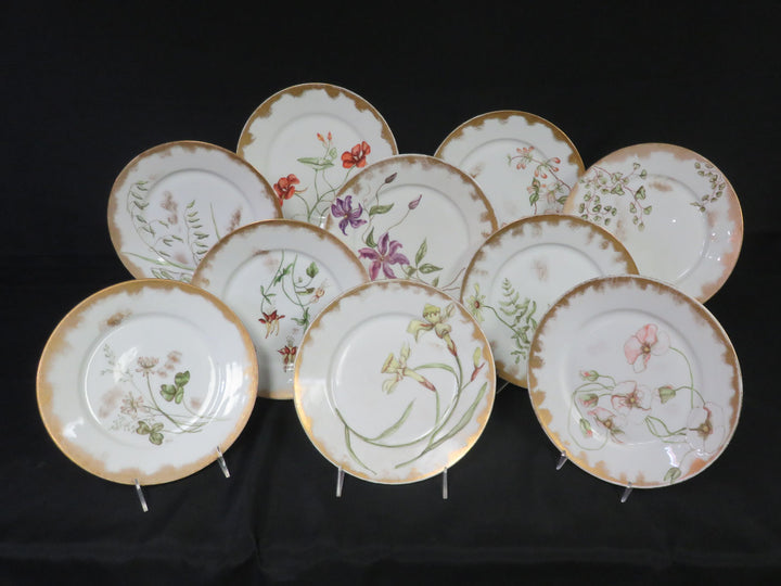 Haviland Limoge Plates