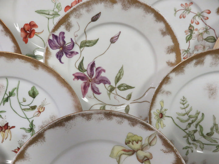 Haviland Limoge Plates