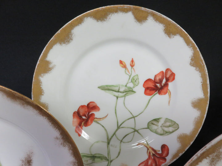 Haviland Limoge Plates