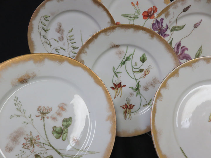 Haviland Limoge Plates