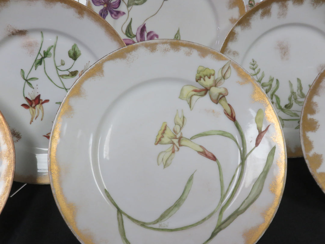 Haviland Limoge Plates