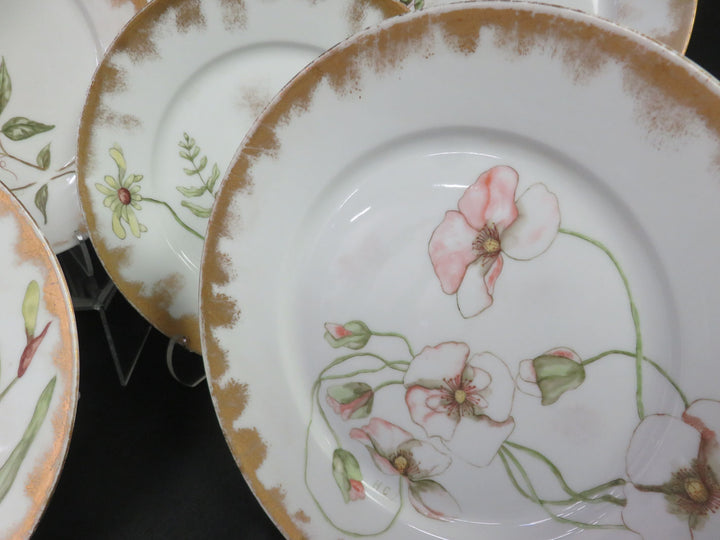 Haviland Limoge Plates