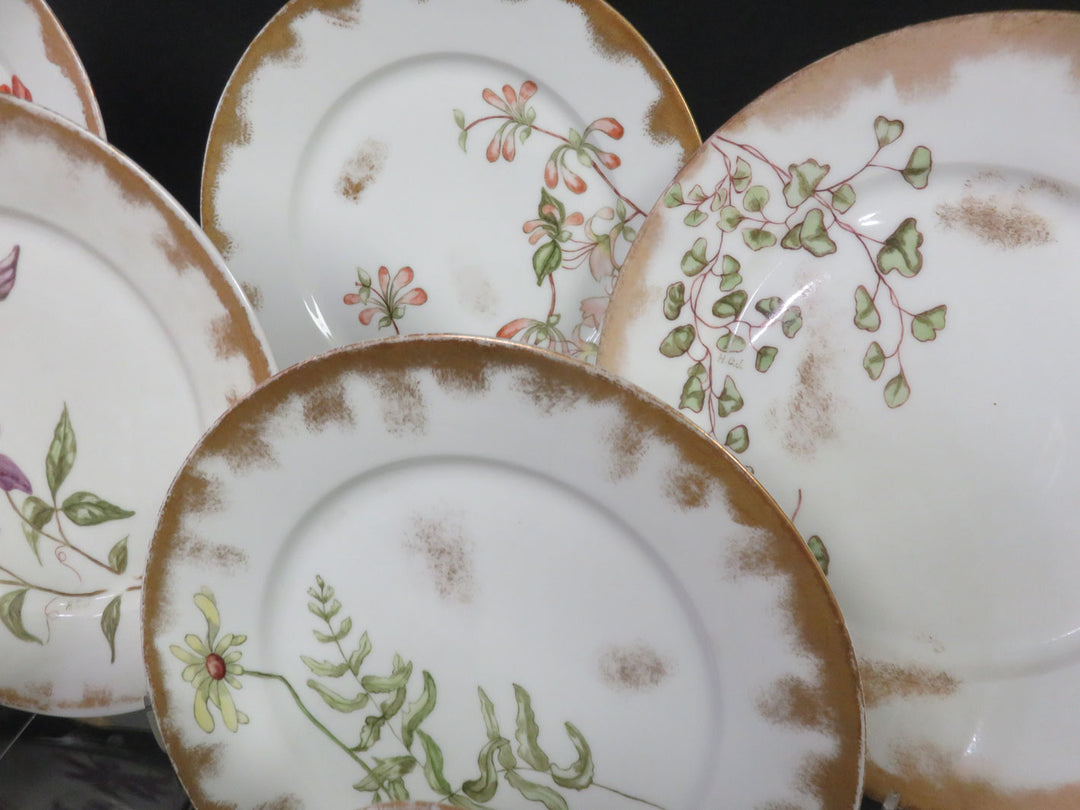 Haviland Limoge Plates