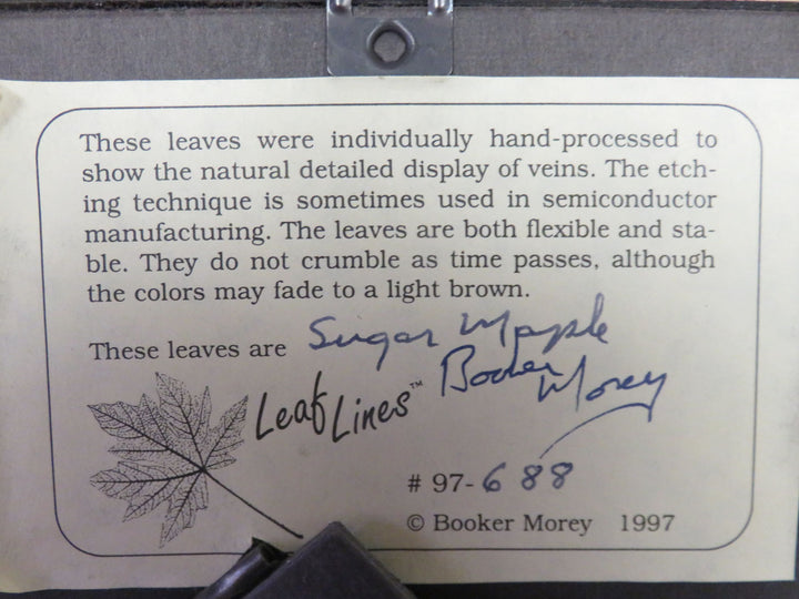 Booker Morey Leaf Shadowbox