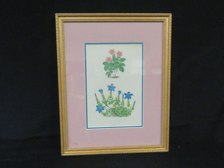 Antique Print from Harrods