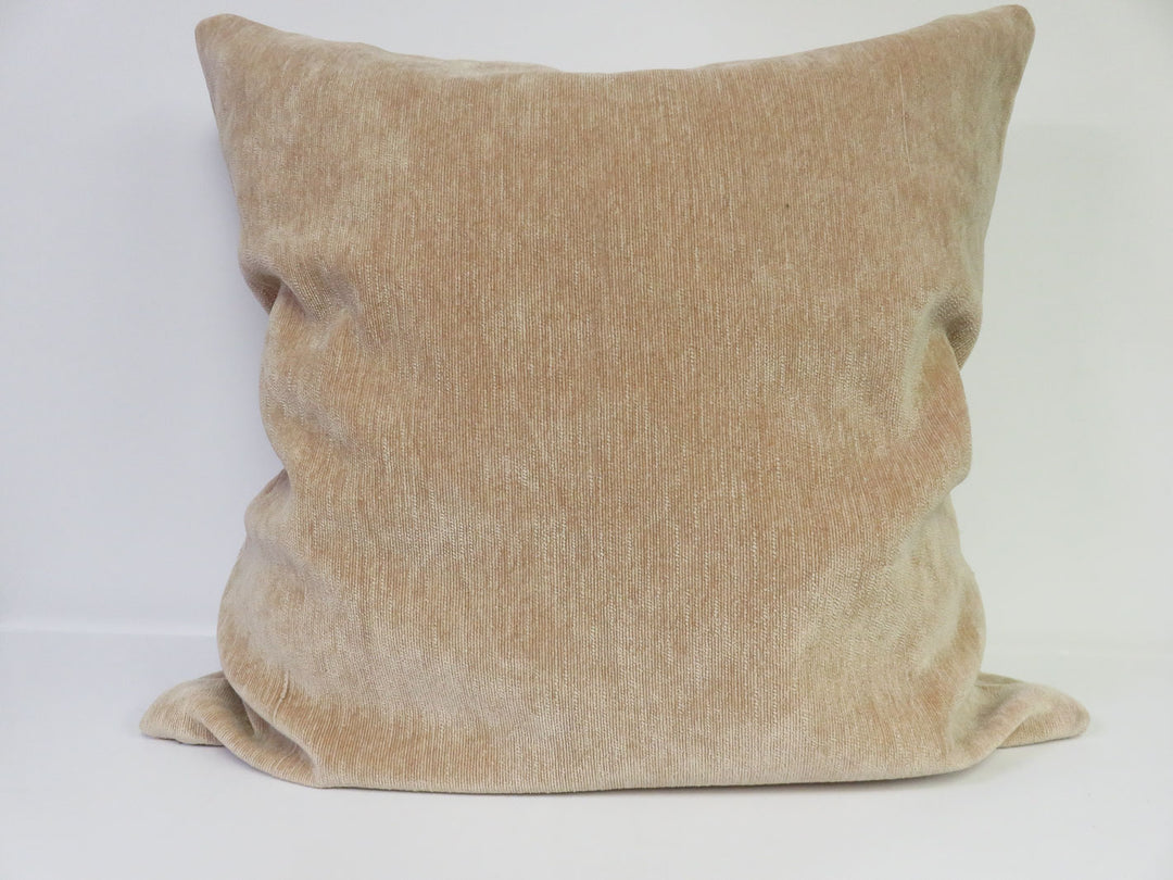 Pottery Barn Throw Pillow