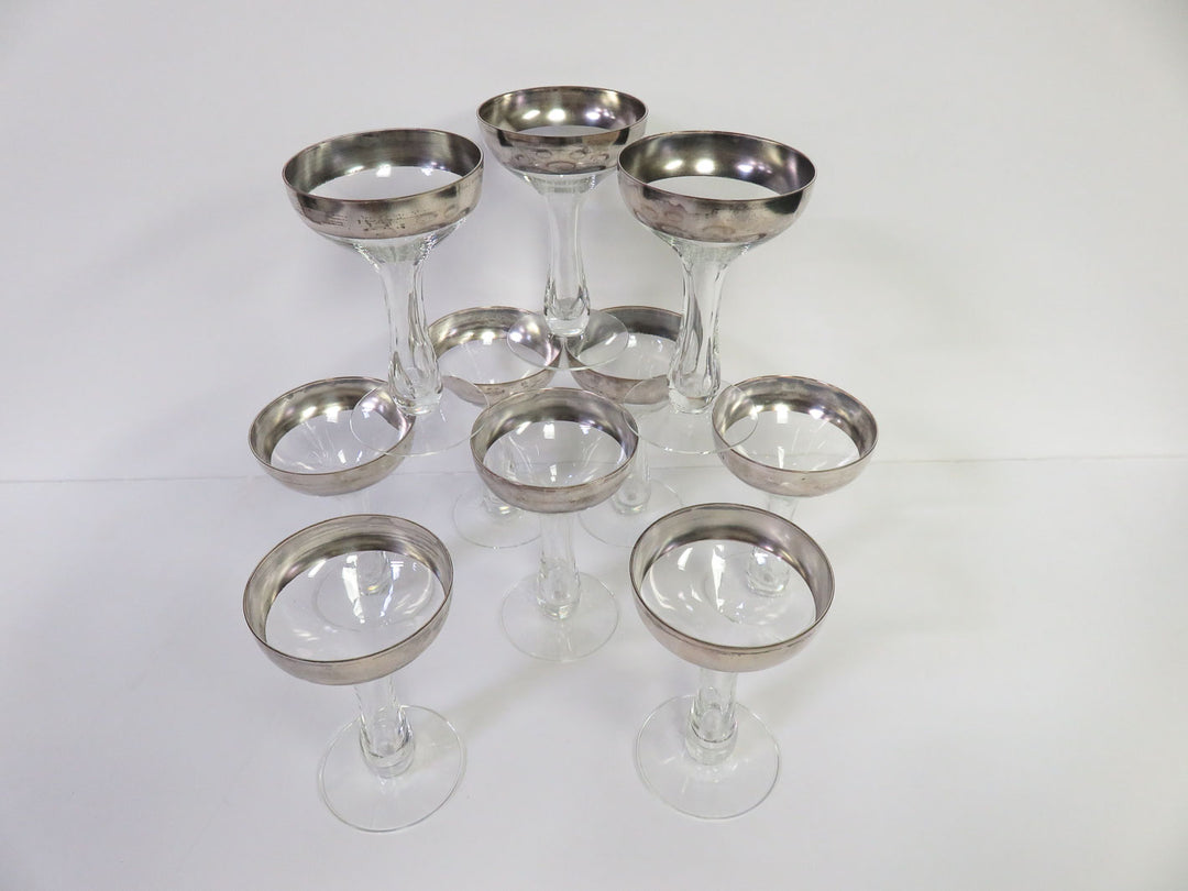 Dorothy Thorpe Champagne Coupes