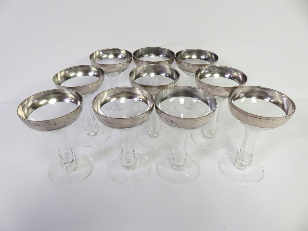 Dorothy Thorpe Champagne Coupes