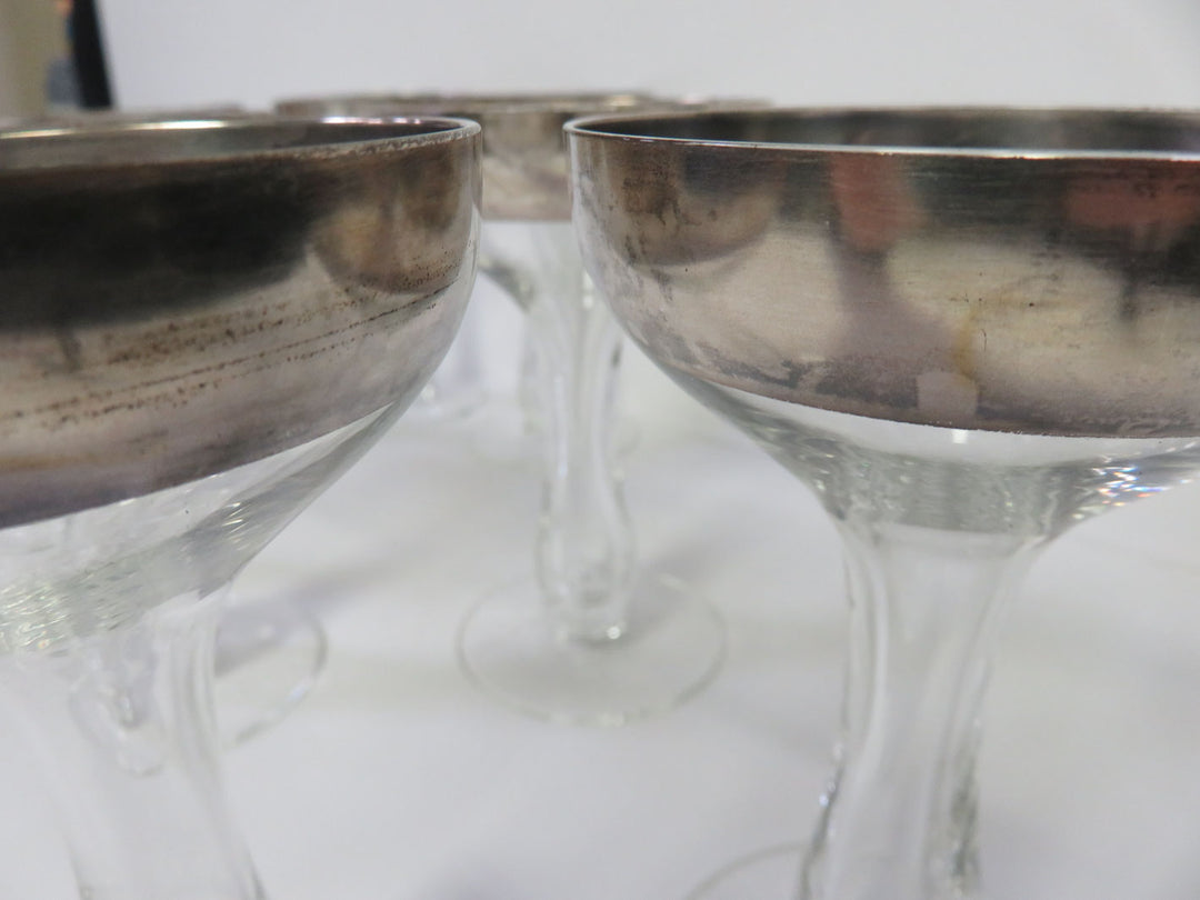 Dorothy Thorpe Champagne Coupes