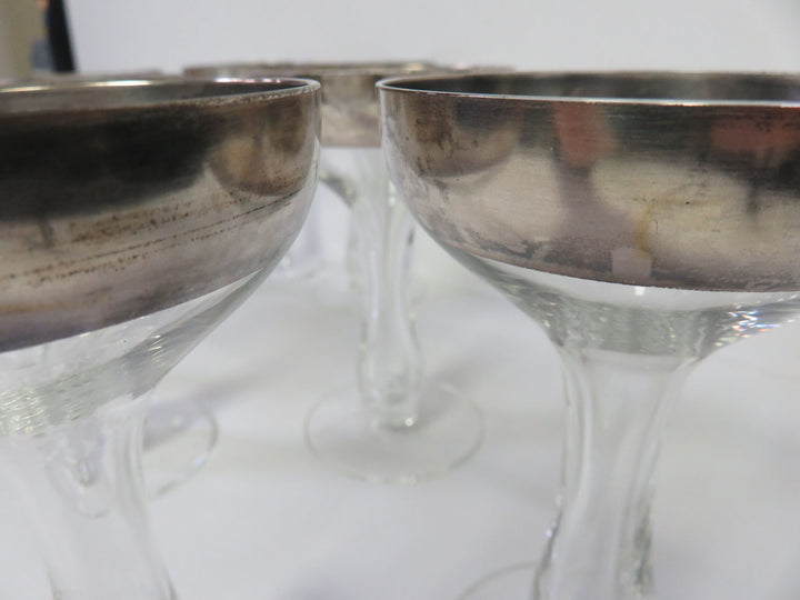 Dorothy Thorpe Champagne Coupes