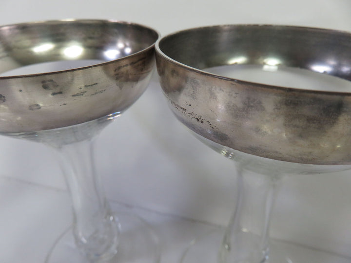 Dorothy Thorpe Champagne Coupes