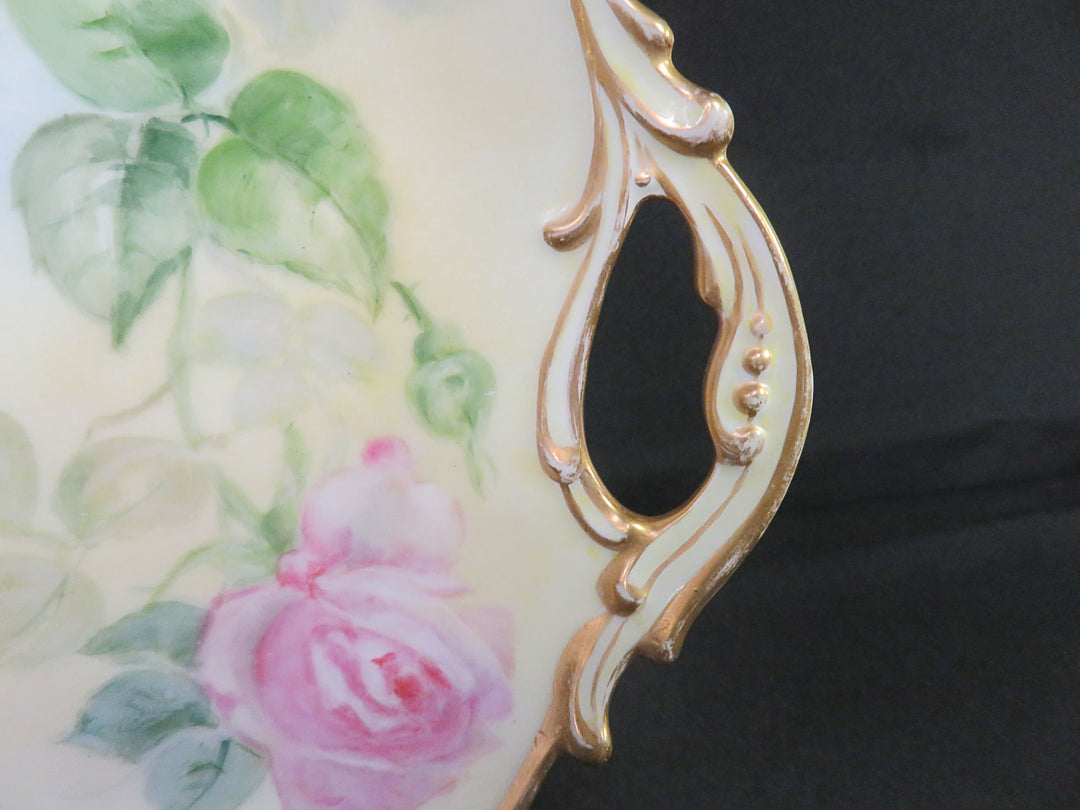 Limoges Hand Painted Plate