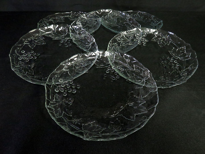 Glass Plate Set