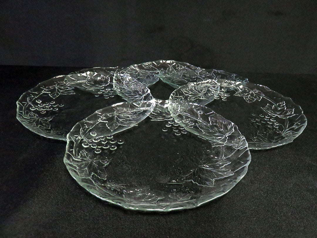 Glass Plate Set