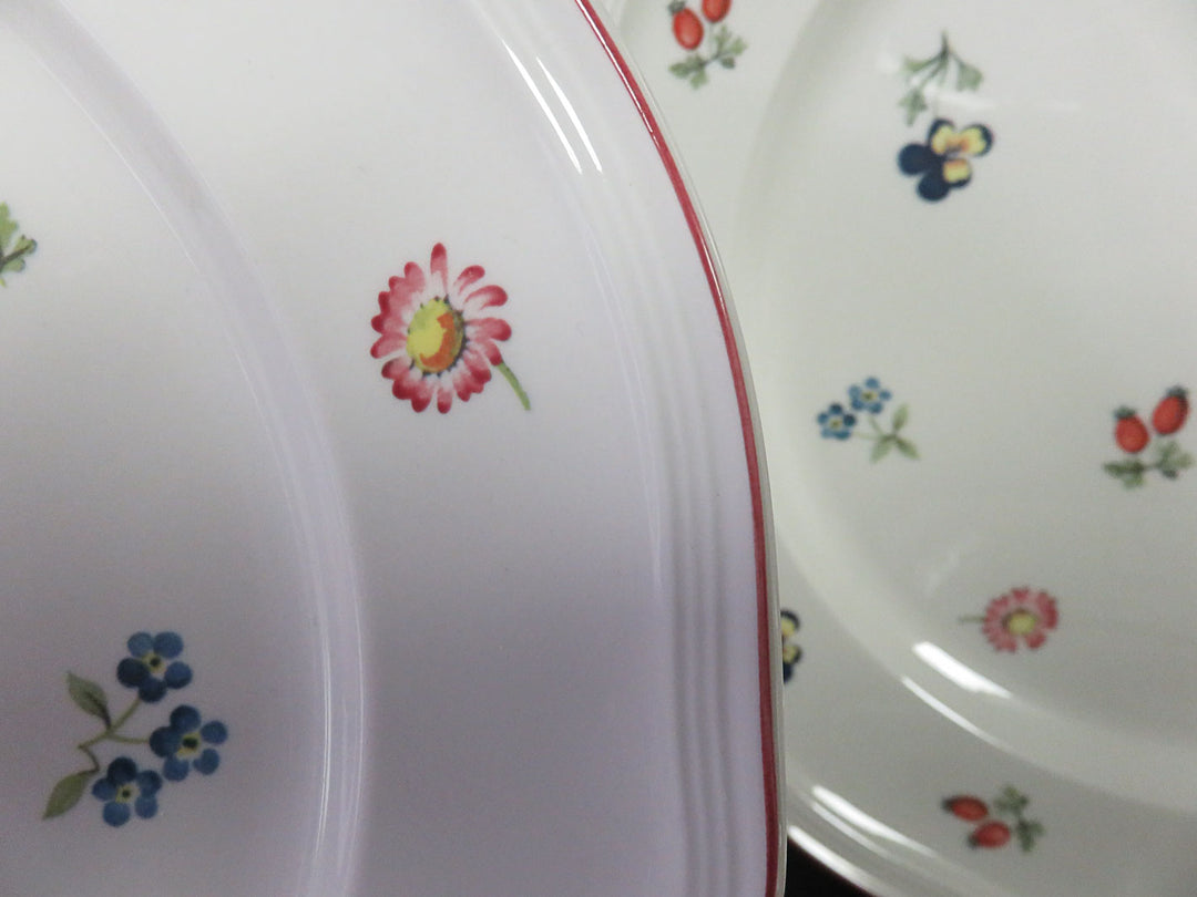 Villeroy & Boch Dinner Plates