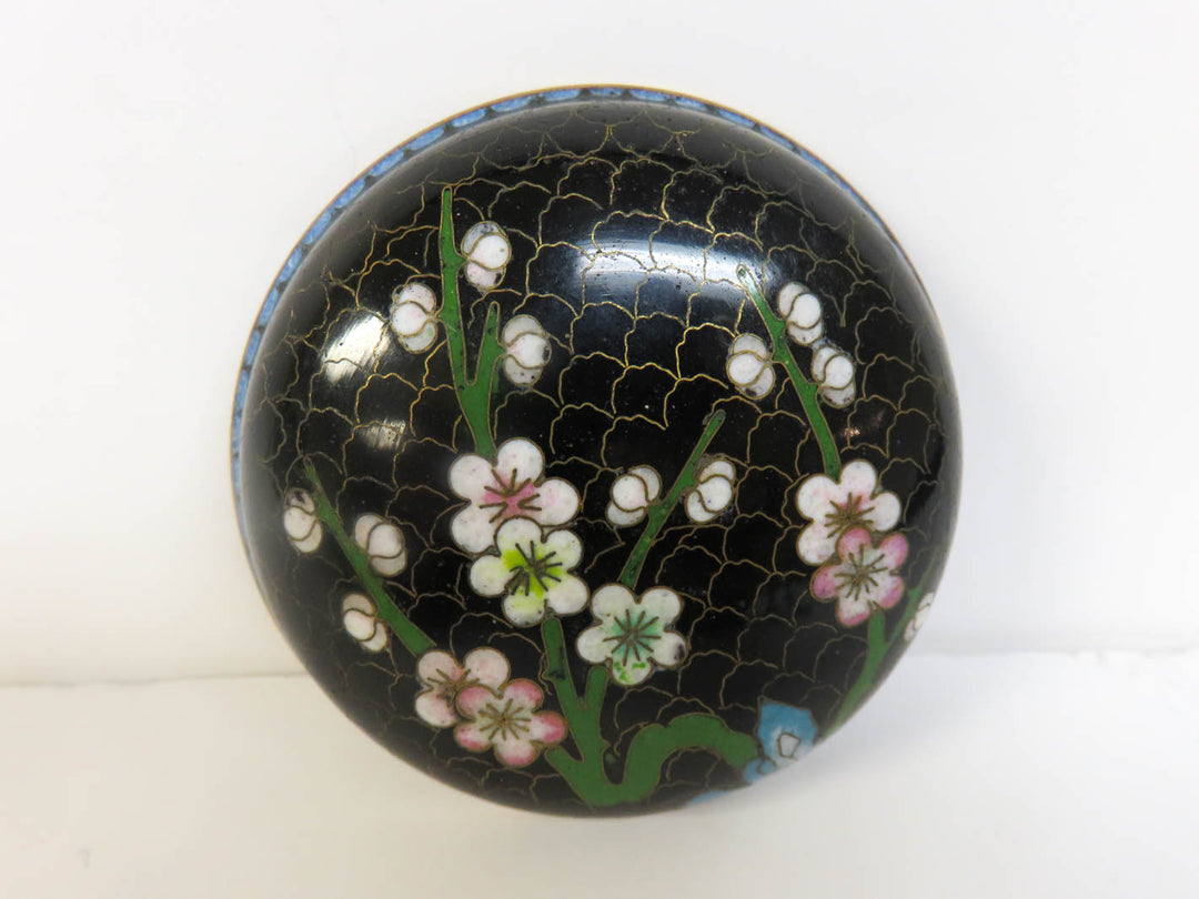 Chinese Cloisonne Box