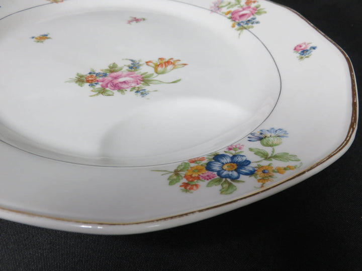 Haviland Limoges Platter