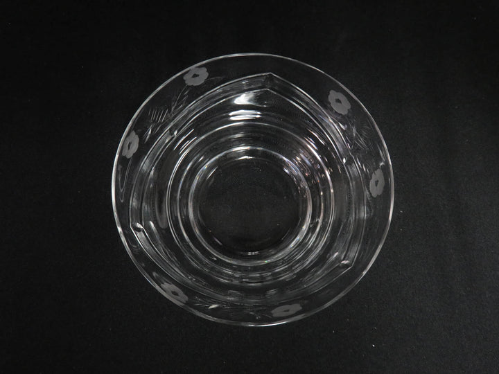 Glass Bowl and Plate Set