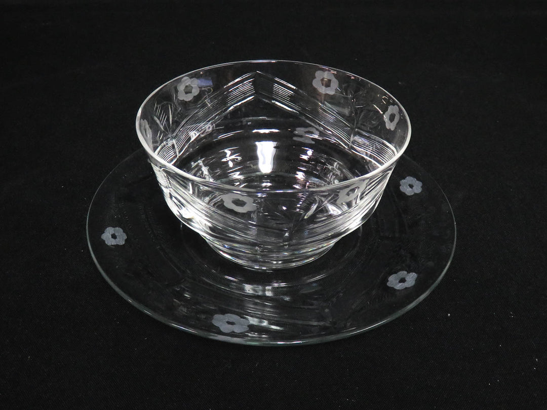 Glass Bowl and Plate Set