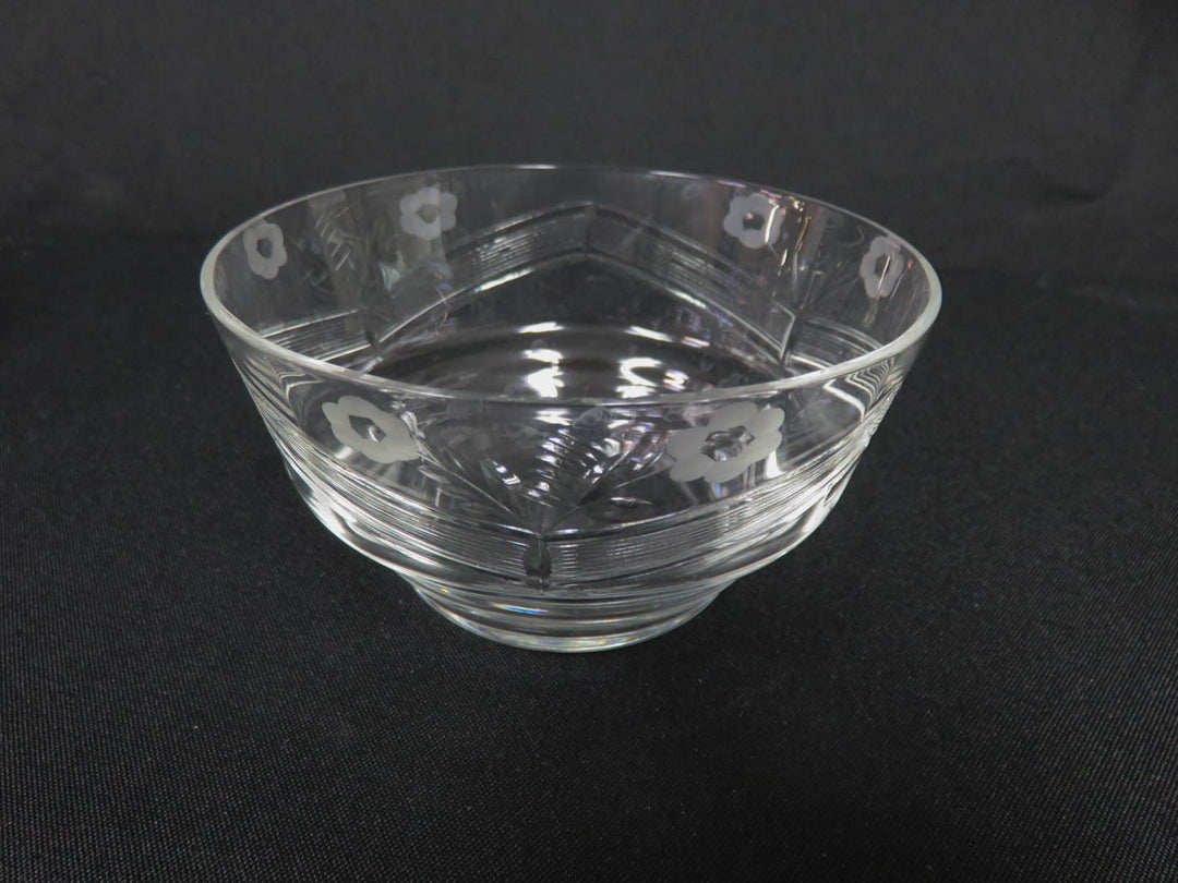 Glass Bowl and Plate Set