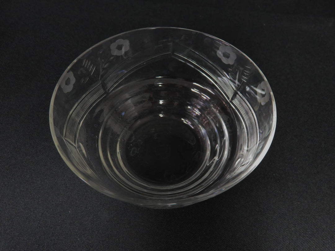 Glass Bowl and Plate Set