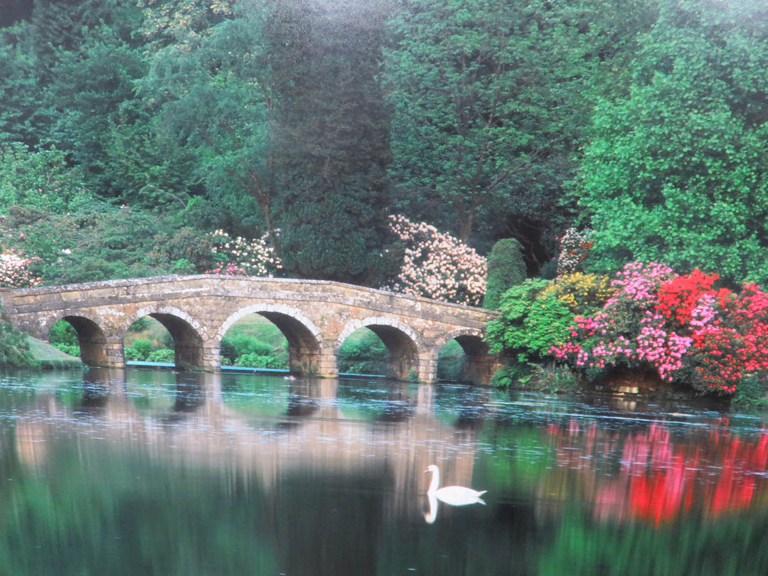 Limited Edition Photographic Artwork