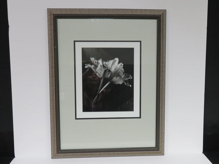 Parrot Tulip Photographic Print