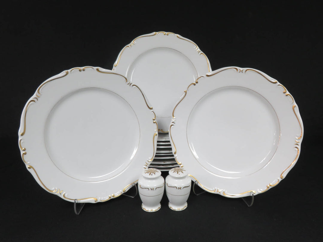 Dinner Plate Set