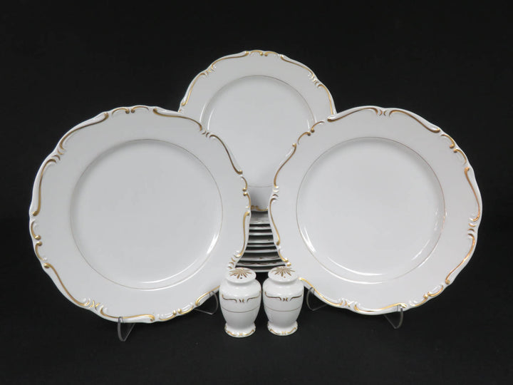 Dinner Plate Set