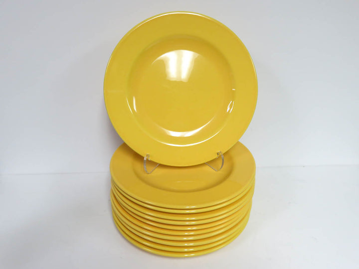 Vista Allegra Dinner Plates